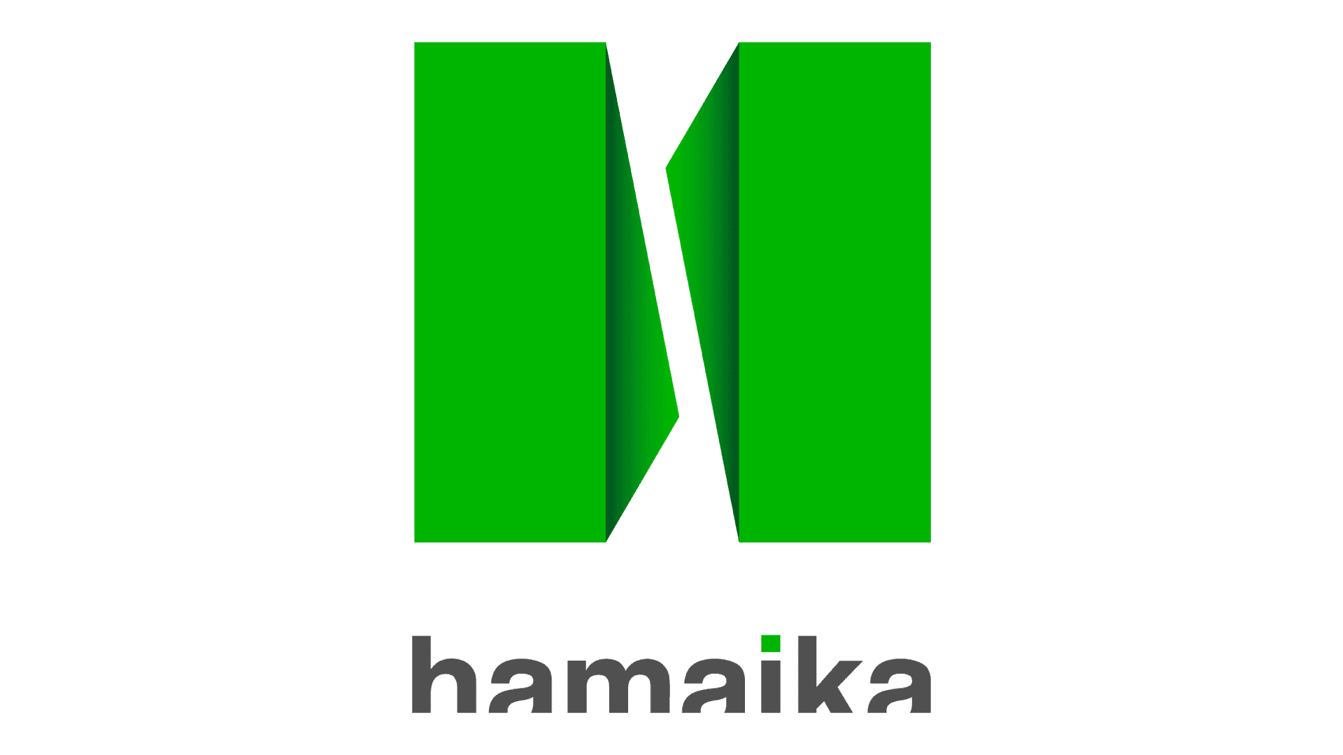Hamaika TV logo