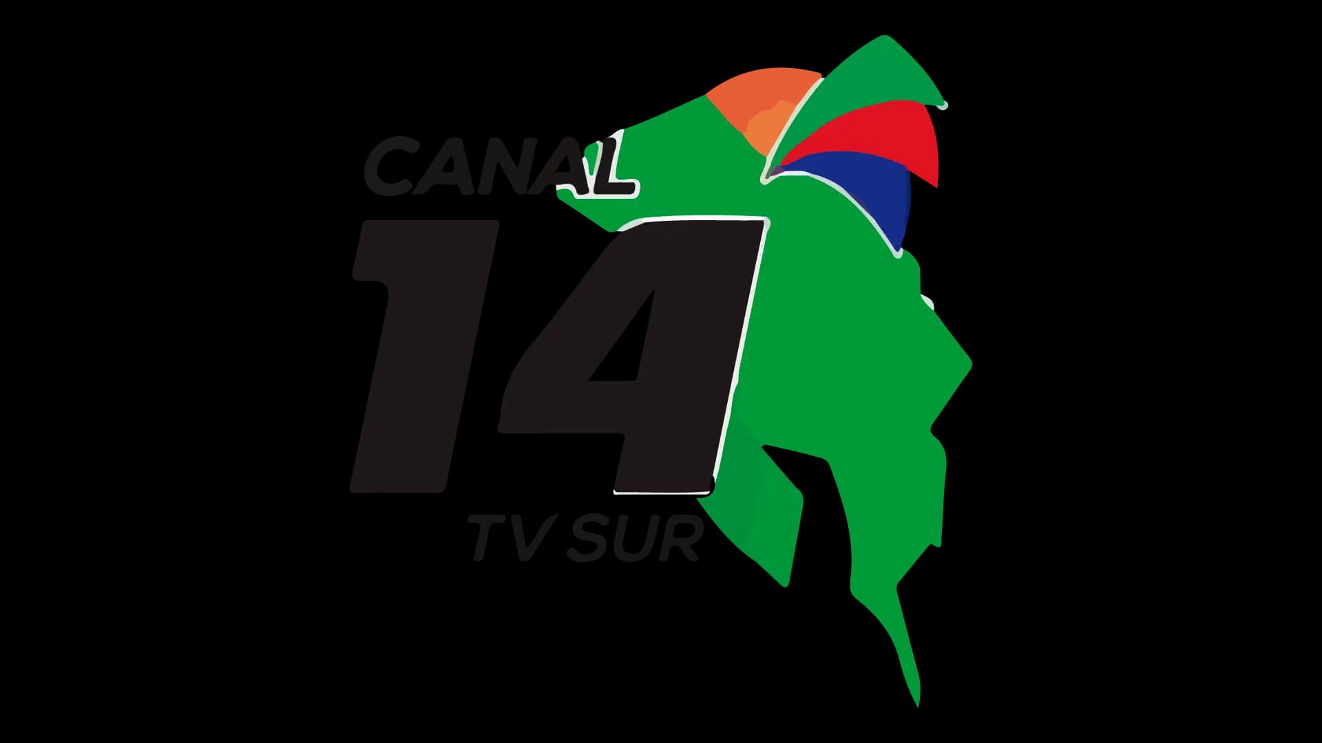 TV Sur Canal 14 logo