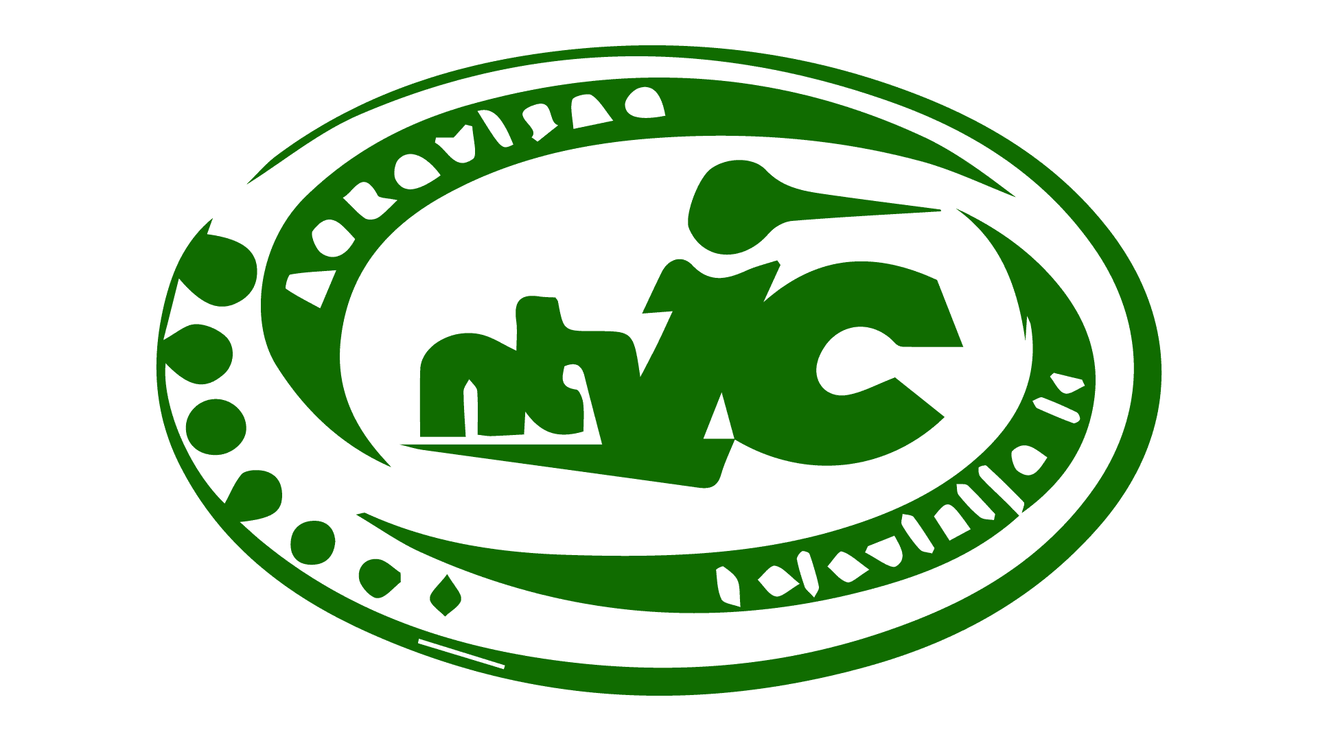 NTVIC Kakanj logo