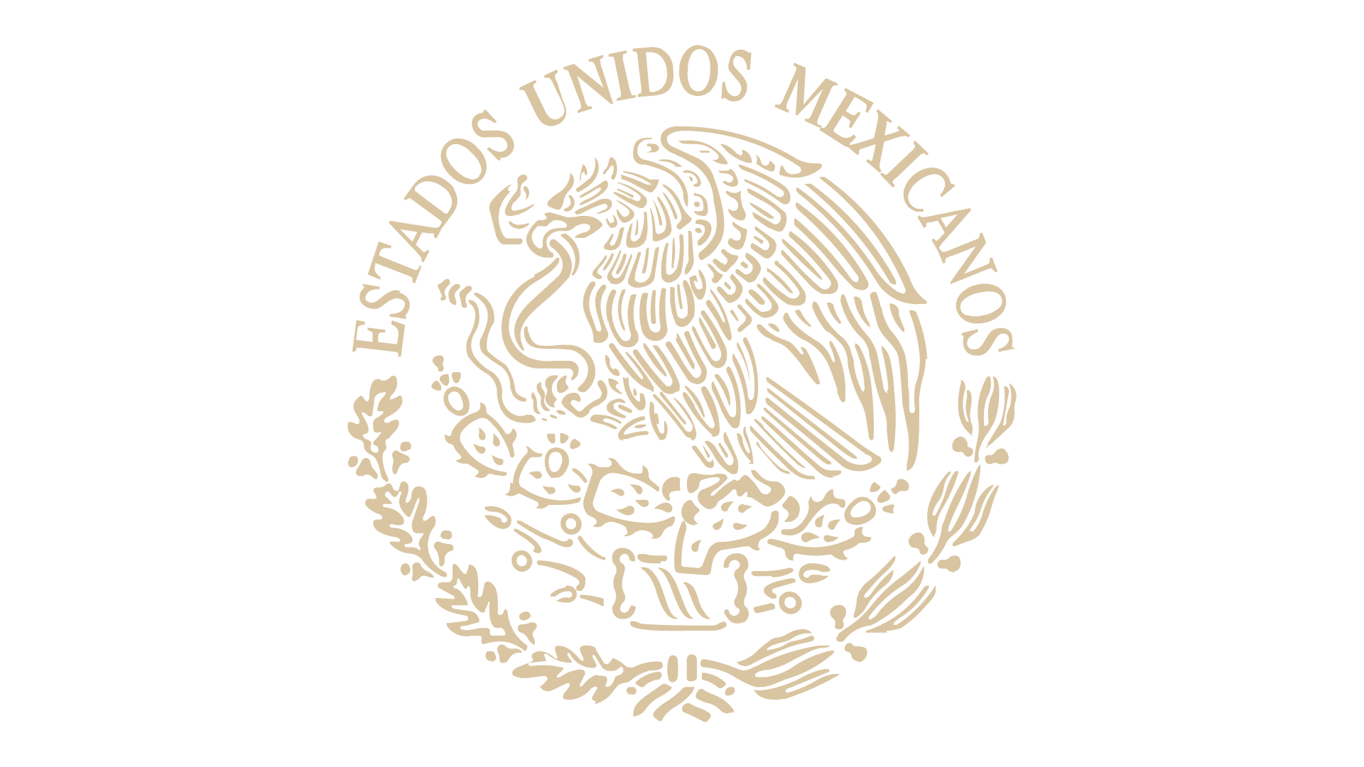 Gobierno de México TV logo