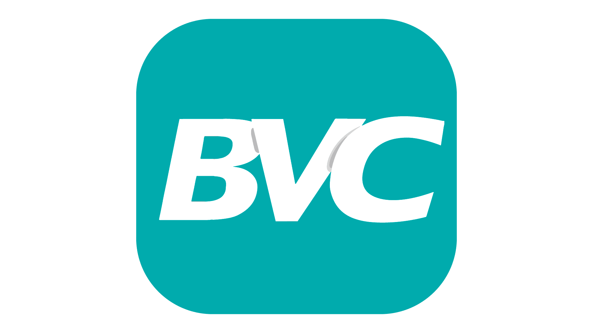 Bahía Visión Color logo