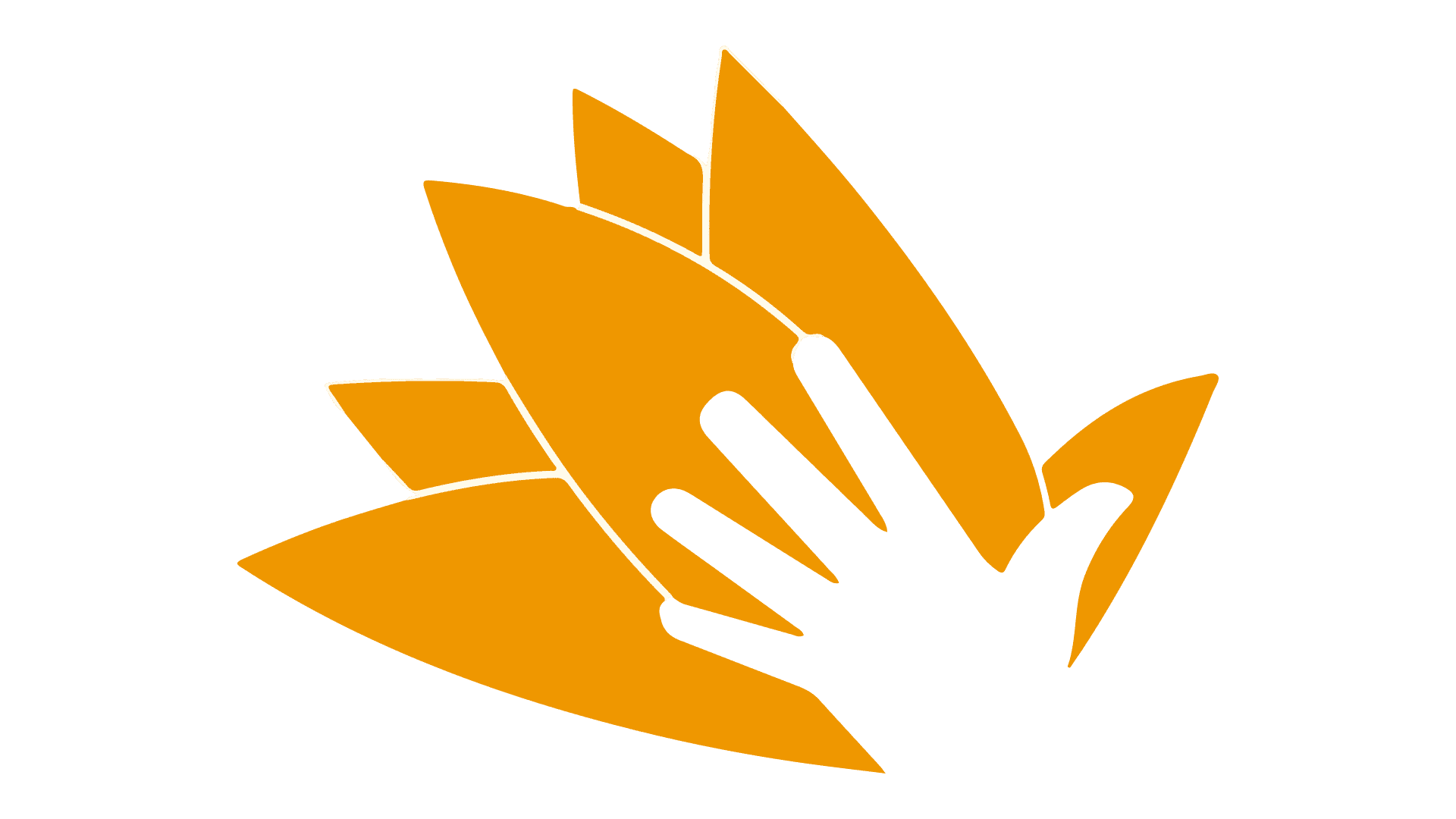 Solidaria TV Chile logo