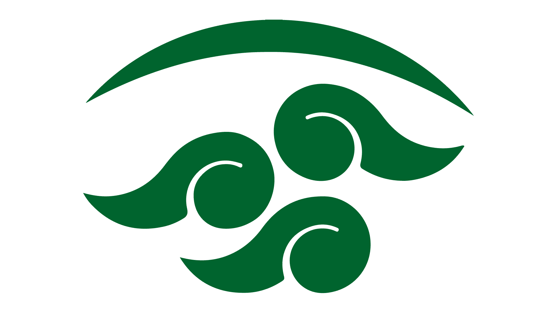 Canal del Congreso México 45.3 logo