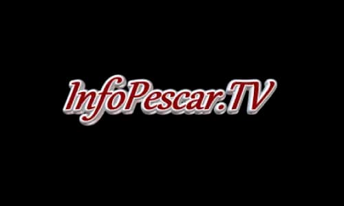 InfoPescar Tv logo