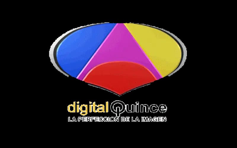 Digital 15 - Telemicro logo