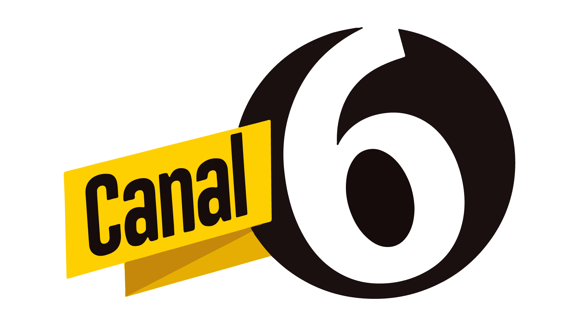 Multimedios TV Canal 6 logo